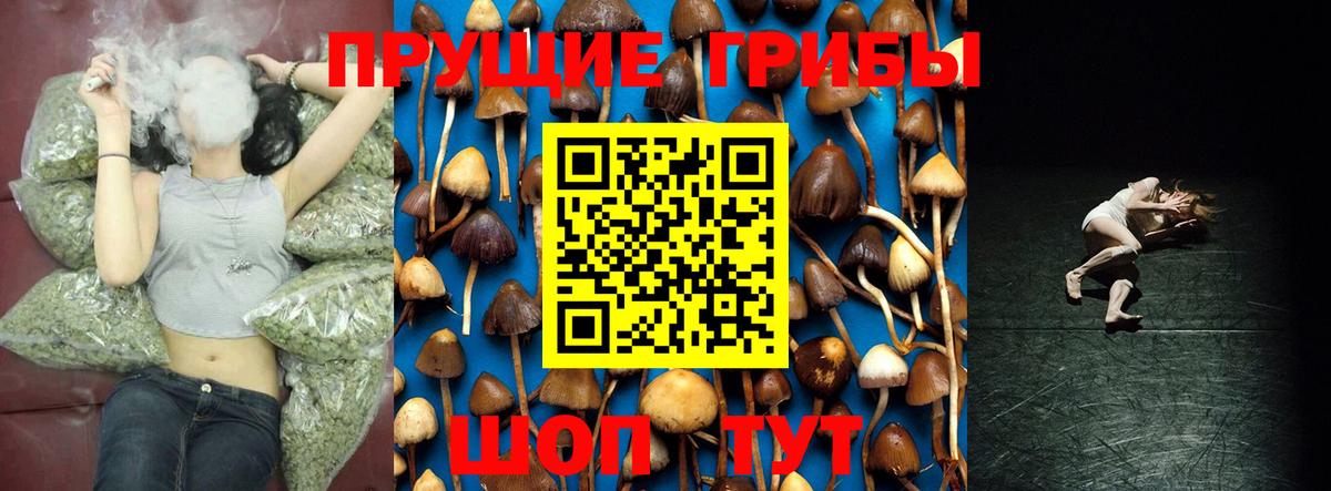 Псилоцибиновые грибы Cubensis Дальнереченск